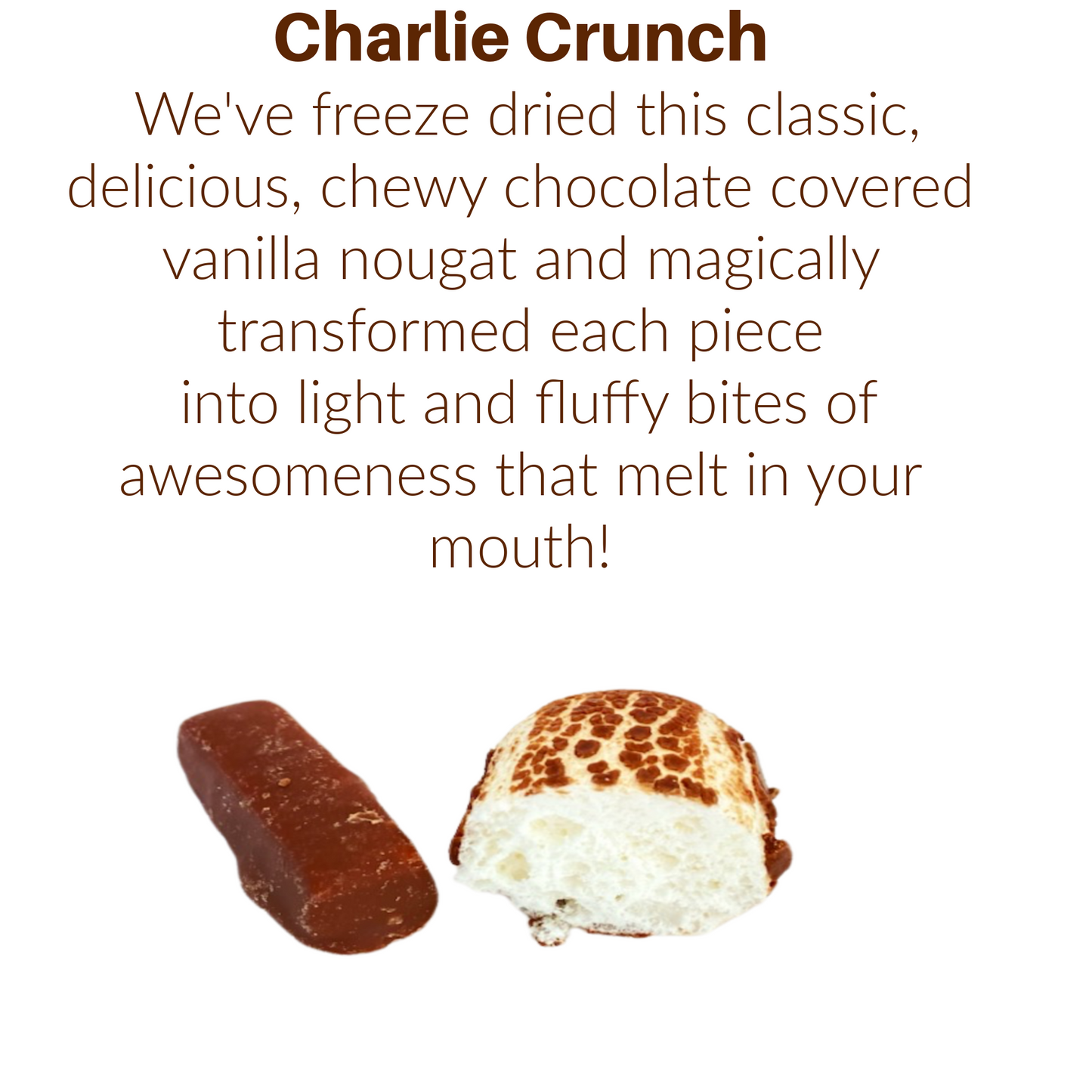 Freeze Dried Charlie Crunch Candy - Freeze Dried Chocolate Candy Bar