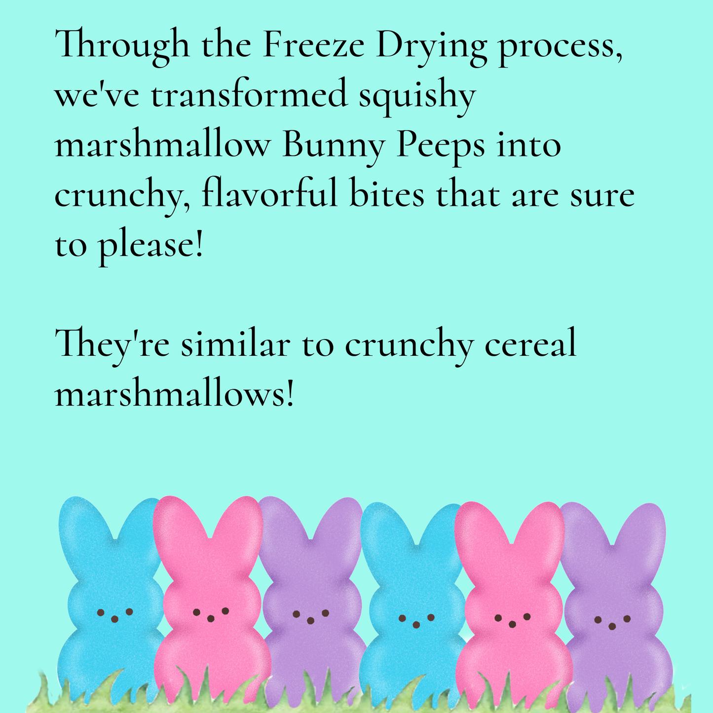 Freeze Dried Bunny Peeps Candy